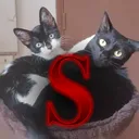 _siael_