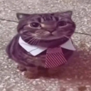 avatar japanese red onion