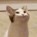 huaqas avatar