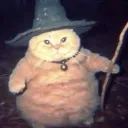 cataclaw