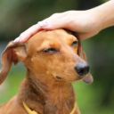 killian7205#6034's avatar