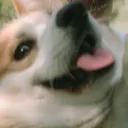 guzix