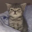 nichtdanger