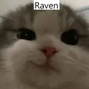 raven1541