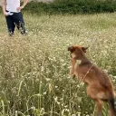 foomix
