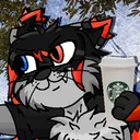 scruffykip