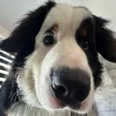 gabiethecutie