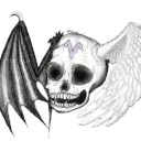 vrailex