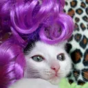 lief67