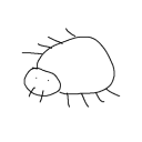 conceits#3594's avatar