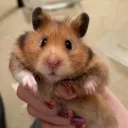 lawlessglory