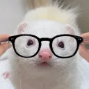 grugcel