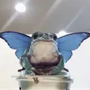 sleepyfig
