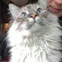 actuallyshrooms#6972's avatar