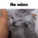 blobert_