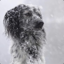 xeric4657#7641's avatar