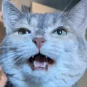 karasunei