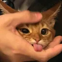selemene
