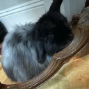 avatar a legit sad witch