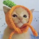 suhdude.