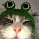 shmowz