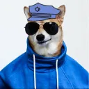 nextdoorsgamer