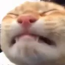 ciknay
