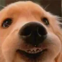 gob3r