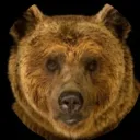 brownbearsimulation