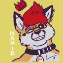 hamidthewerefox