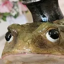 tabimtorrez