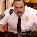 notamallcop