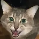 lulolwen