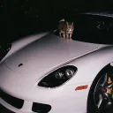 thatmrbeast avatar