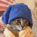 meowcino