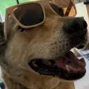 docstar