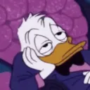 dingus03017