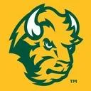 bisonking1151
