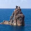 sanoj0367