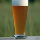 proppilele