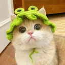 pfudorix