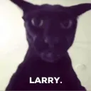 zanzador