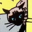 catfacts_.