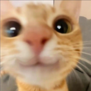 Eylstar