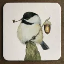 tom8053 avatar
