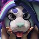 ladyhaley