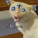 nivei