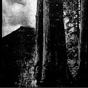danielwerg