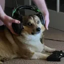 sneak_it