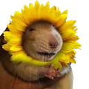 Look sun no glare's Avatar